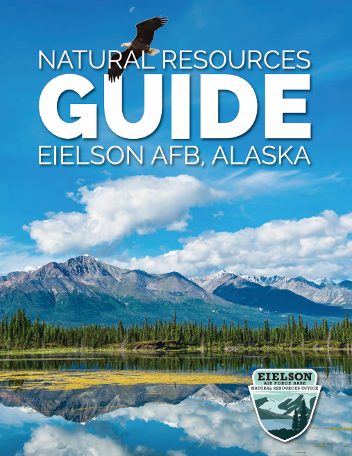 Eielson Natural Resources Flyer